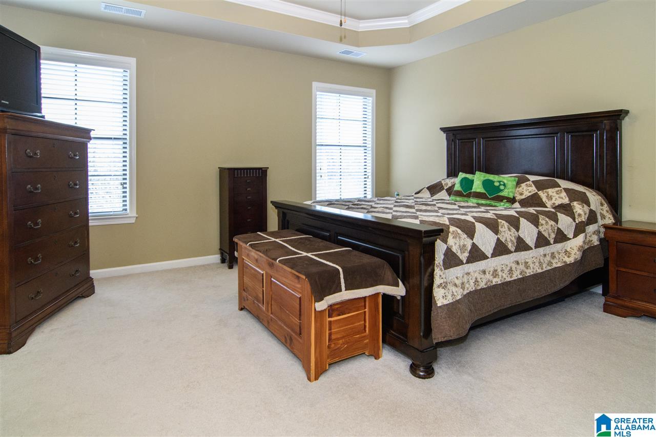 172 Chinaberry Lane Alabaster, AL 35114 - Photo 23 of 45