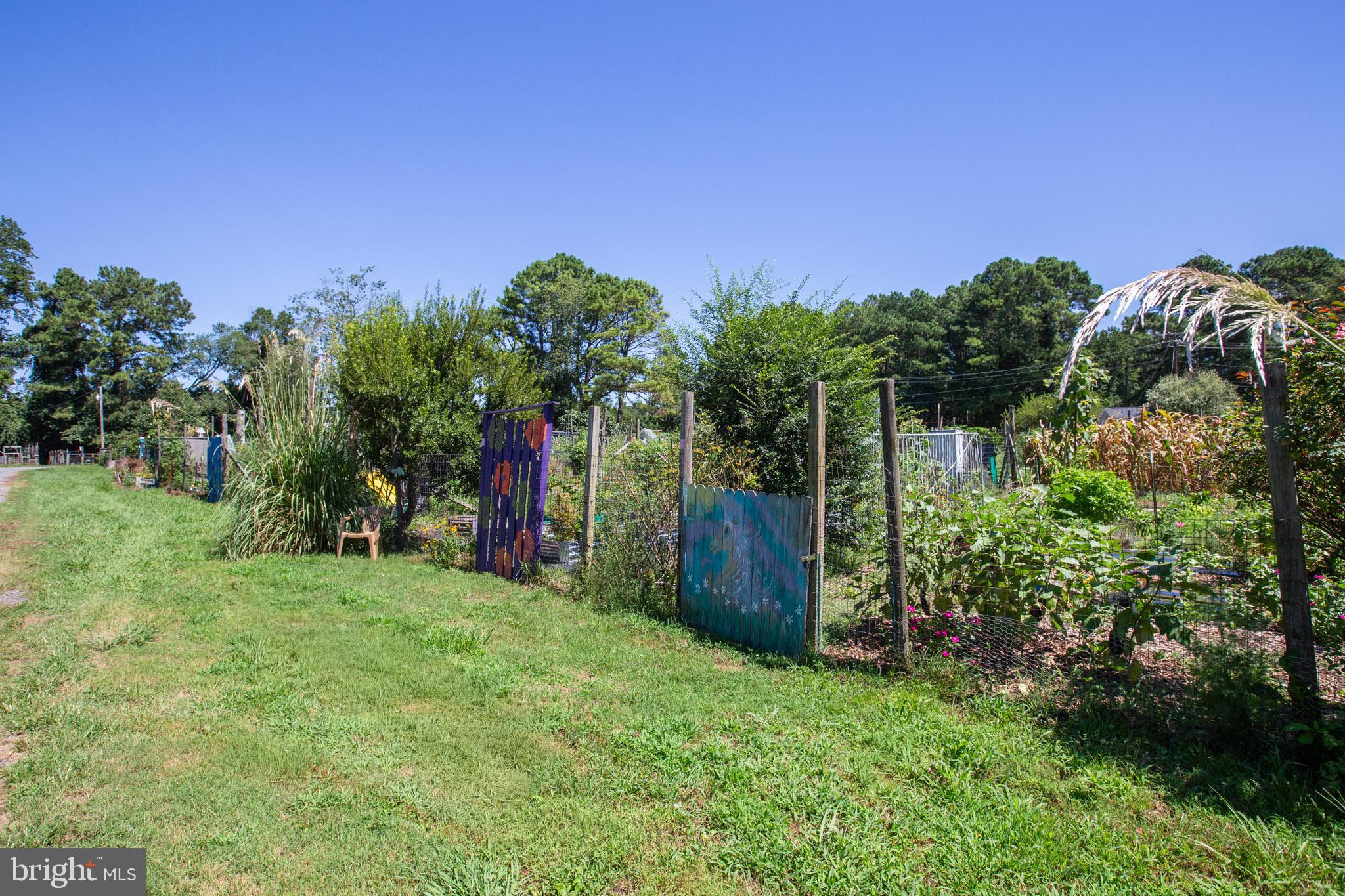 12646 High Sierra Road Lusby, MD 20657 - Photo 36 of 36 a view of a field with a tree in front of the house