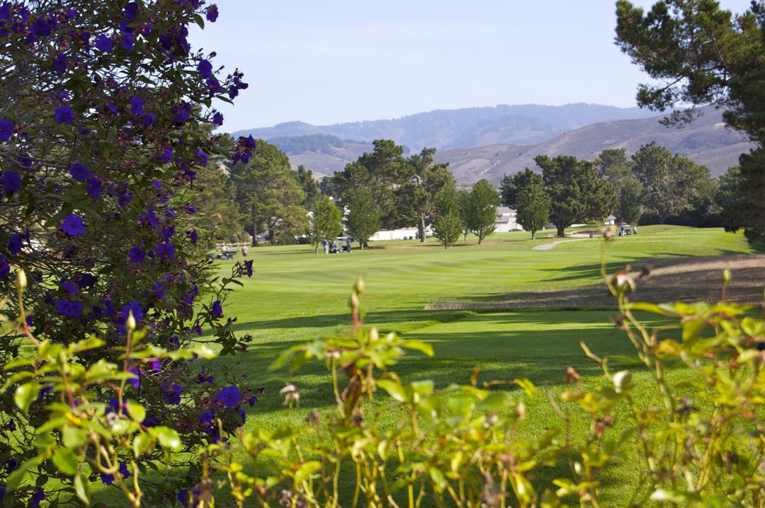 114 Cypress Point Road Half Moon Bay, CA 94019 - Photo 20 of 25 a view of a town with mountains in the background