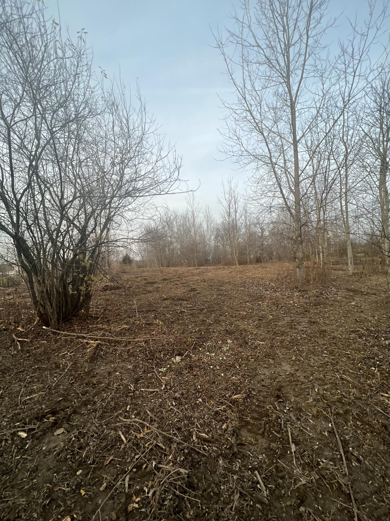 0 Griswold Road Manitou Beach, MI 49253 - Photo 2 of 8 668821A2-92C9-4A92-9AD0-65D7D2F9D446