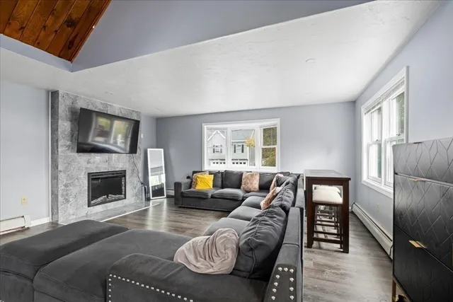 a living room with furniture windows and a fireplace