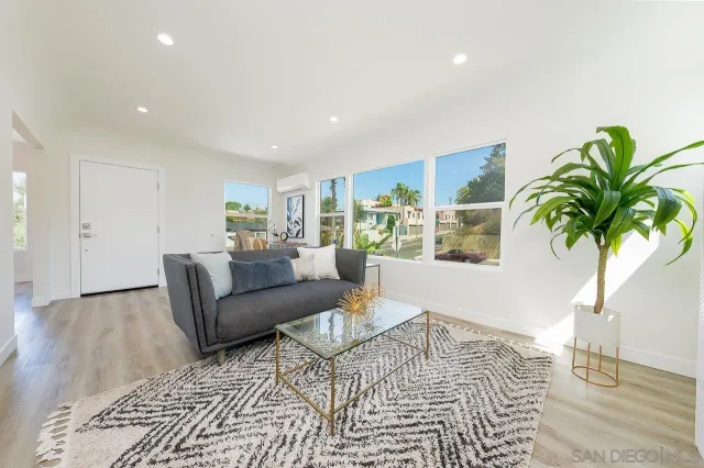 a living room with furniture and a potted plant