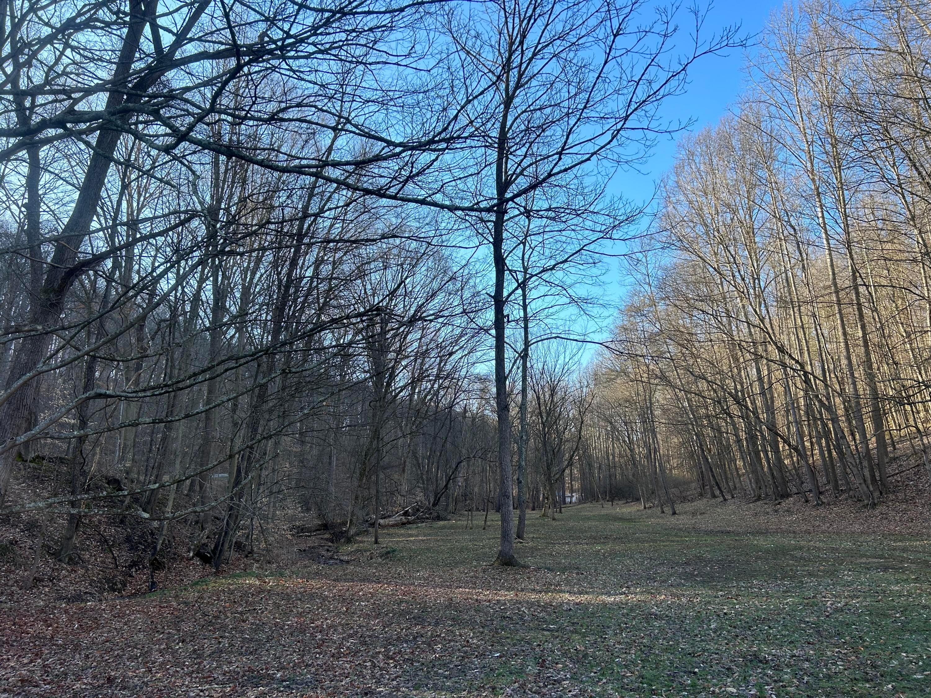 0 Hansley Road Southeast Sugar Grove, OH 43155 - Photo 24 of 27 0F36F75F-1E6D-4057-AD3D-536FC4320F67