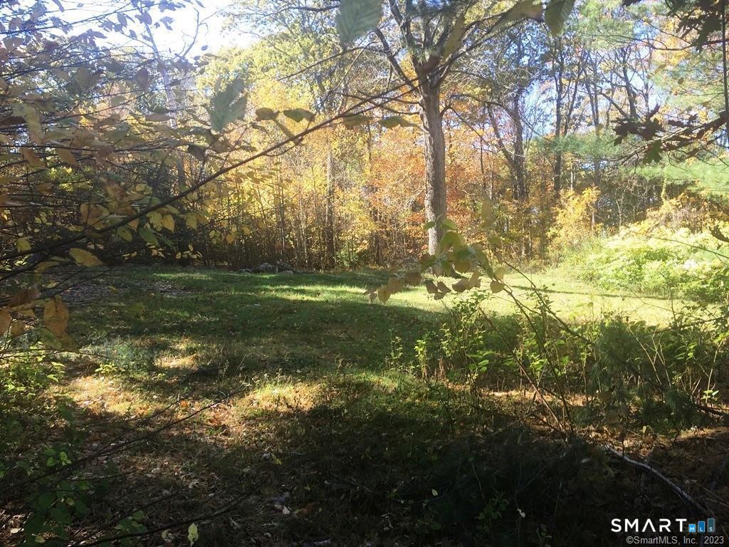 159 Campville Road Litchfield, CT 06778 - Photo 4 of 5 Gallery Image 4