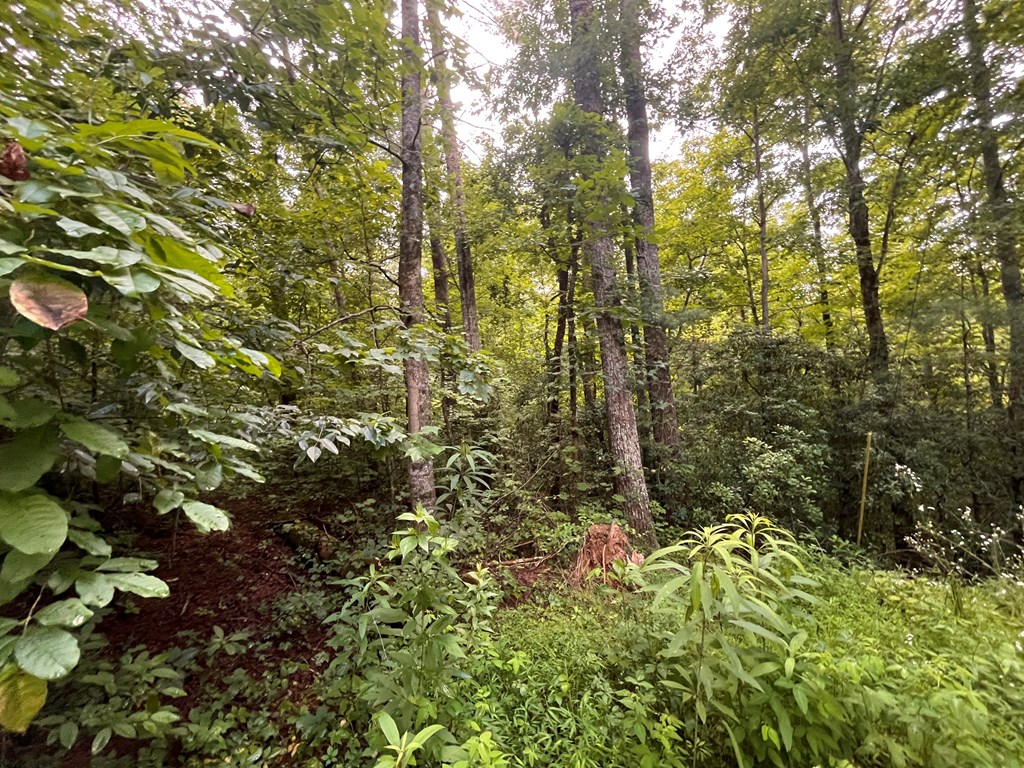 33 Brook Court Ellijay, GA 30540 - Photo 3 of 8