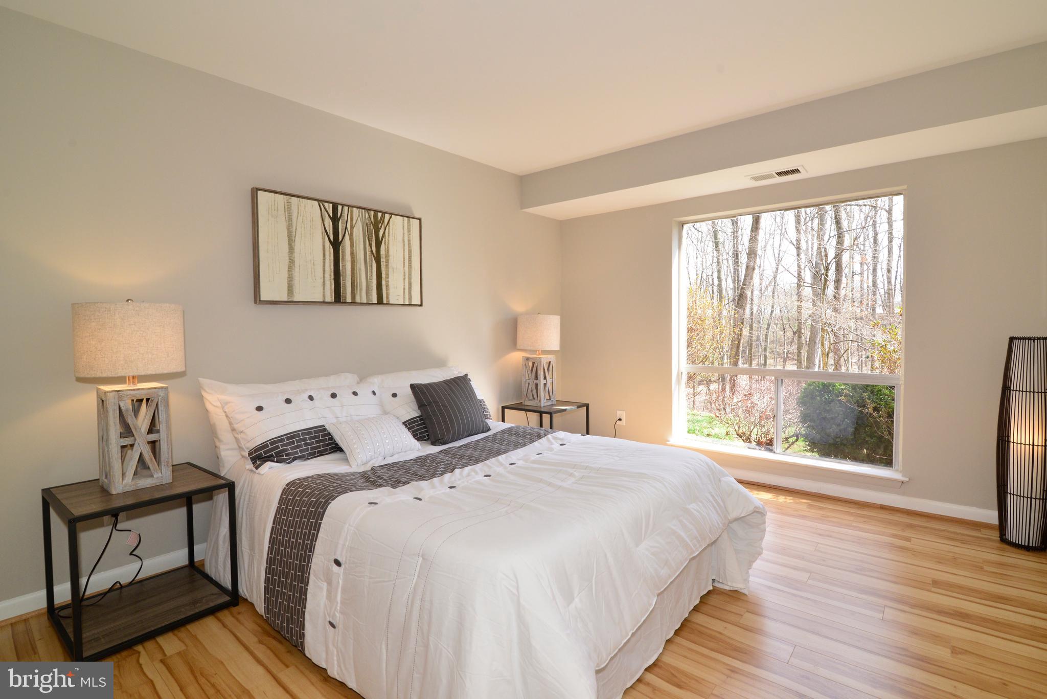 11623 Vantage Hill Road, Unit 1A Reston, VA 20190 - Photo 14 of 21 Master Bedroom with Sunny Window.