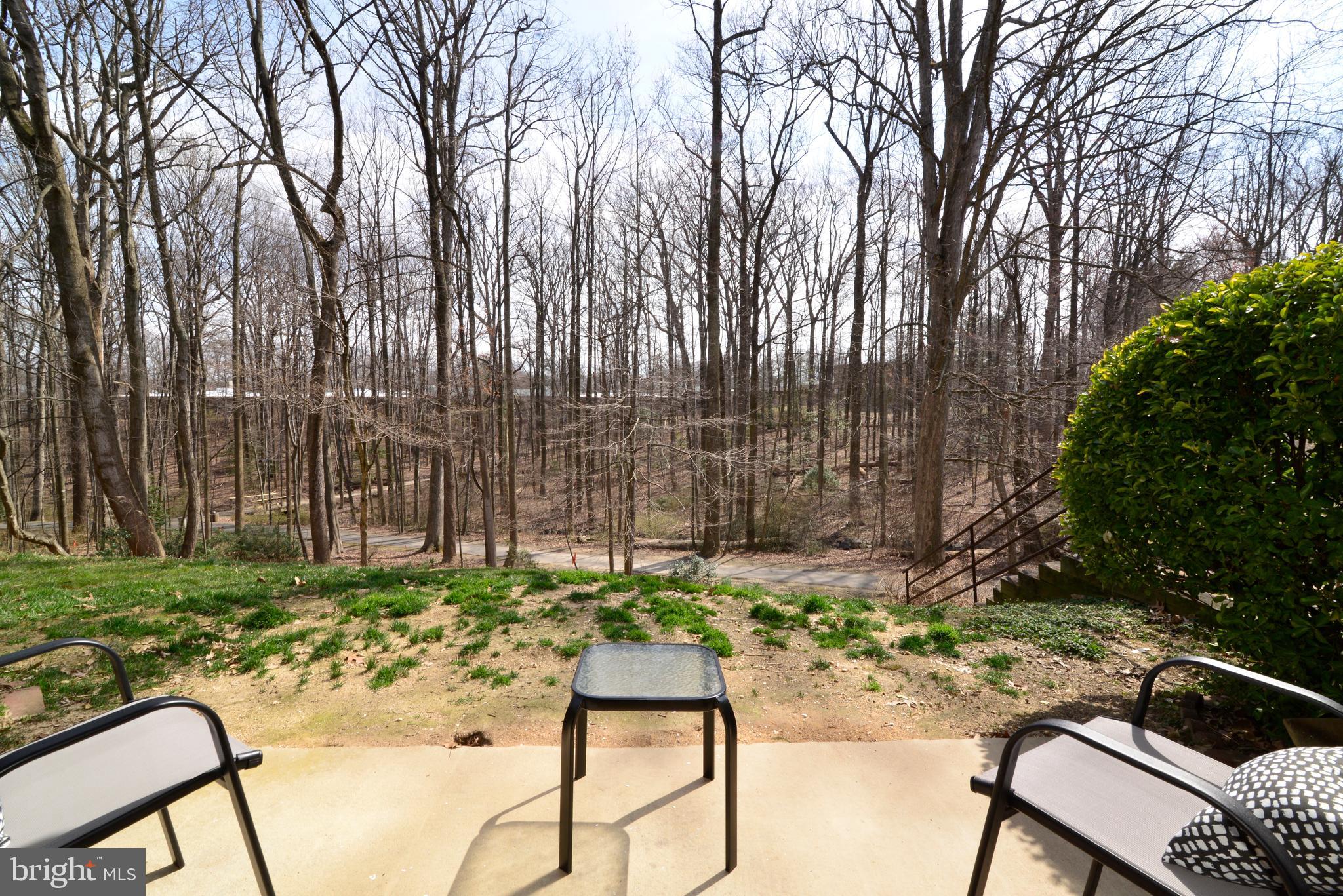 11623 Vantage Hill Road, Unit 1A Reston, VA 20190 - Photo 18 of 21 Enjoy Sitting on Your Patio.