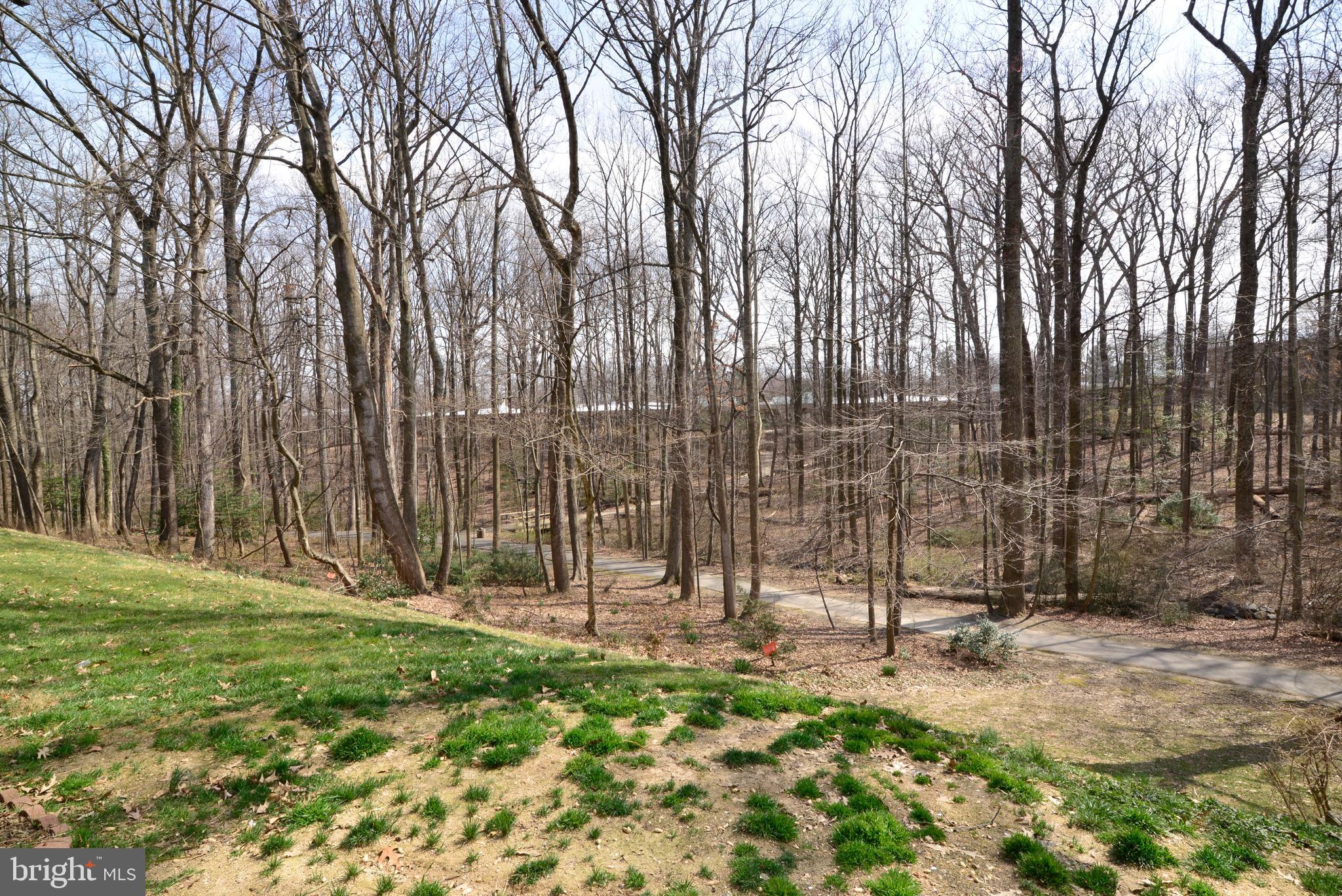 11623 Vantage Hill Road, Unit 1A Reston, VA 20190 - Photo 20 of 21 View of Woods and Walking Trails.