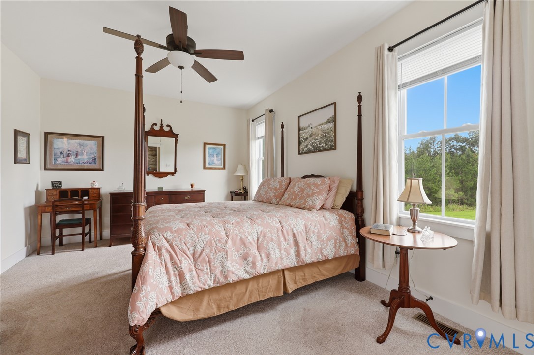 25181 West Soap Stone Road Jetersville, VA 23083 - Photo 19 of 54 Spacious room featuring neutral carpeting, light-t