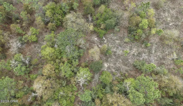 $10,000 | Lot 4 Shelby Court, Chipley, FL 32428