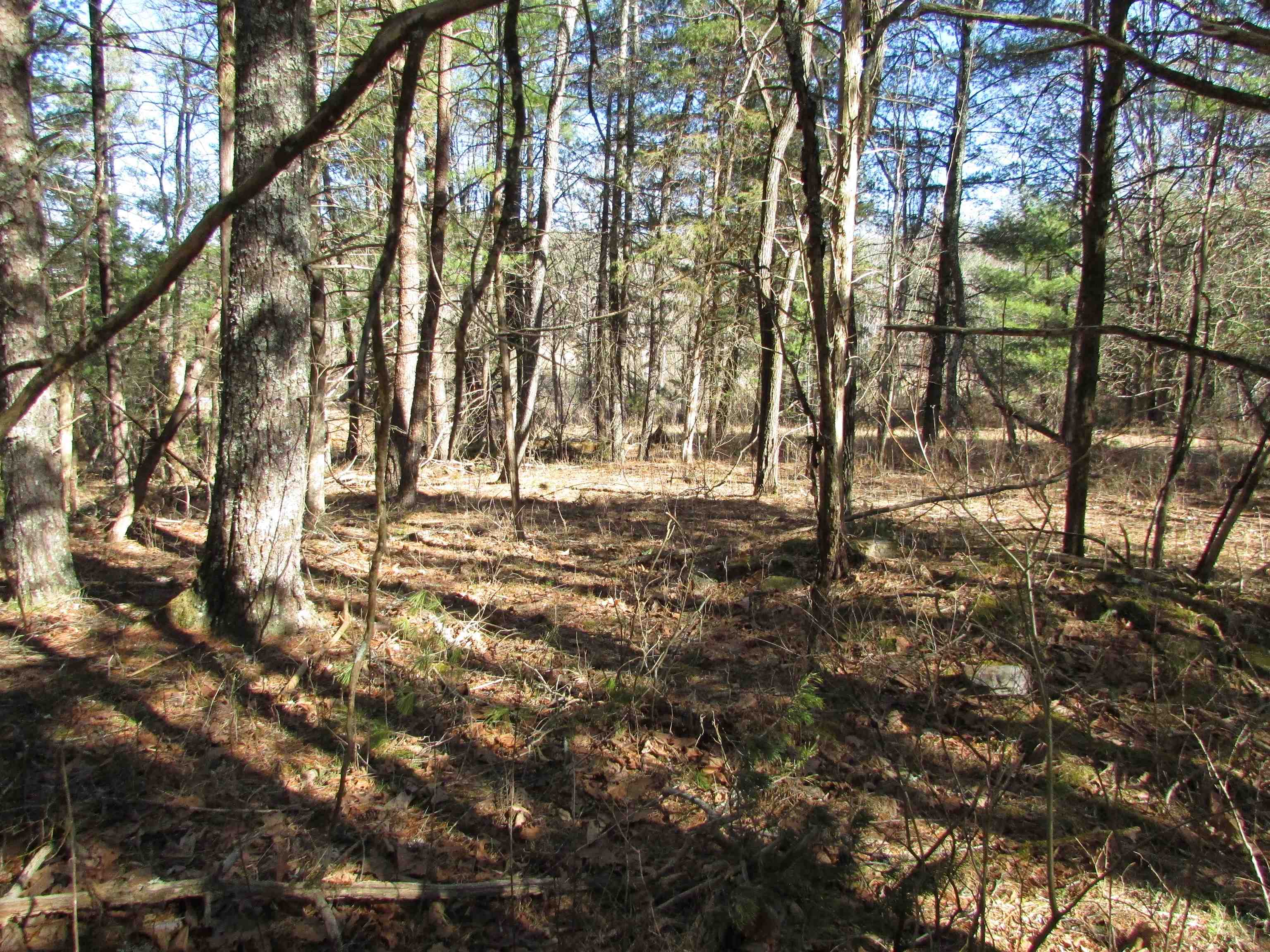 4266 Craig Creek Road Catawba, VA 24070 - Photo 25 of 44 Gallery Image 25