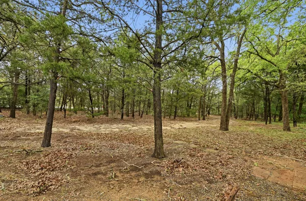 $350,000 | 120 Green Mountain Drive, Cedar Creek, TX 78612