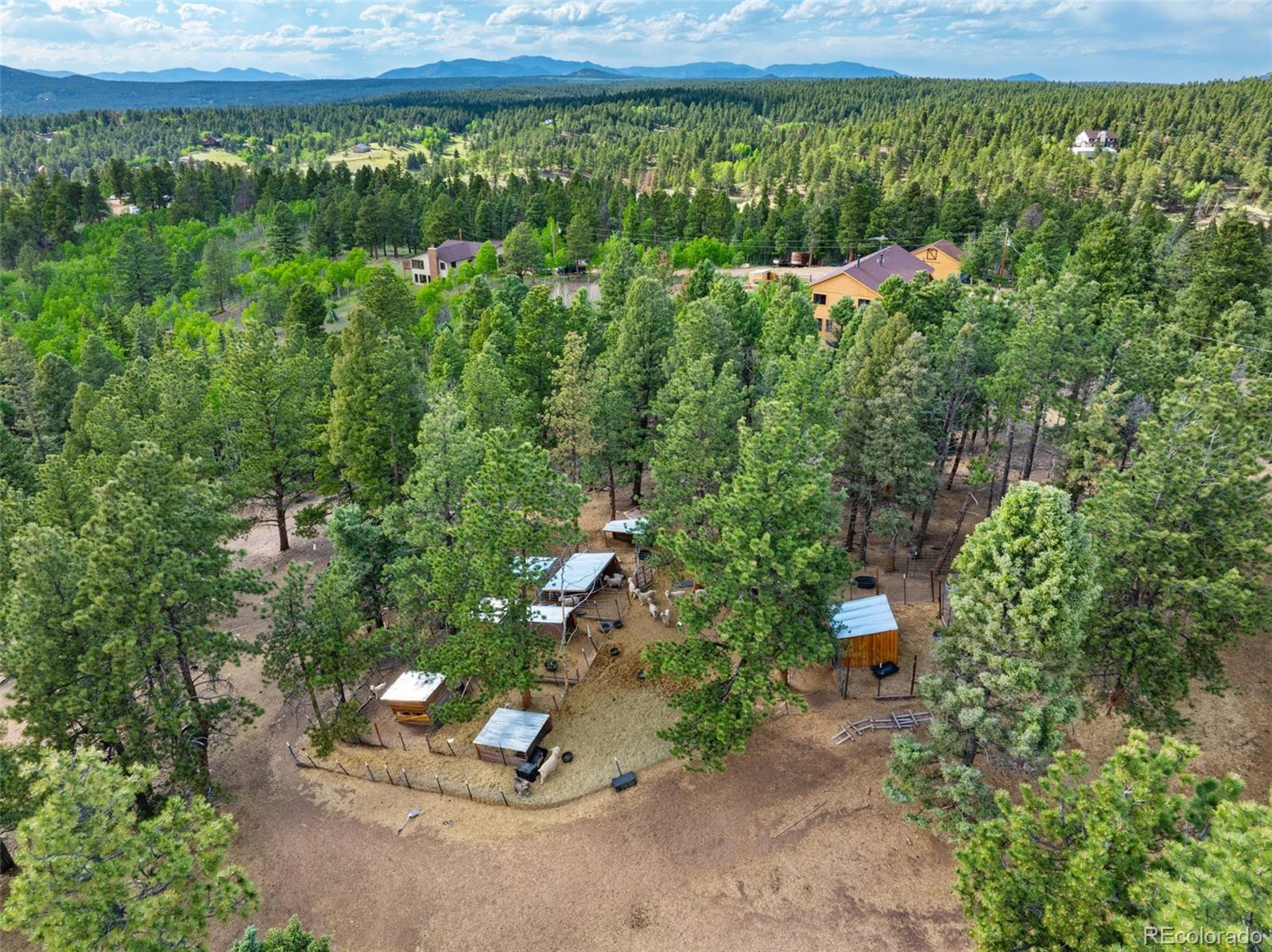 4269 Cedar Mountain Road Divide, CO 80814 - Photo 27 of 37