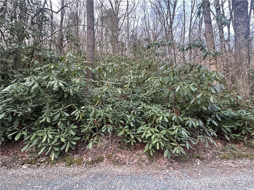 0 Rocky Creek Road Boone, NC 28607 - Photo 1 of 1