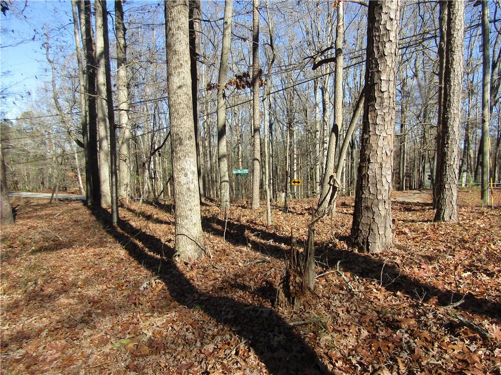 0 Fence Road Dacula, GA 30019 - Photo 2 of 2 a view of a backyard of the house