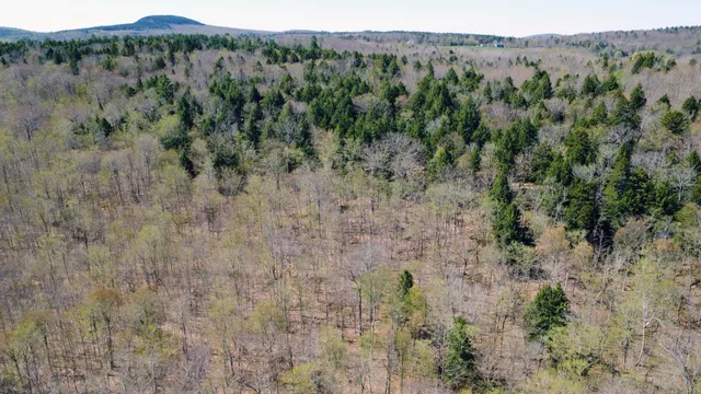 $39,500 | Lot 5 Peakes Hill Road, Dedham, ME 04429