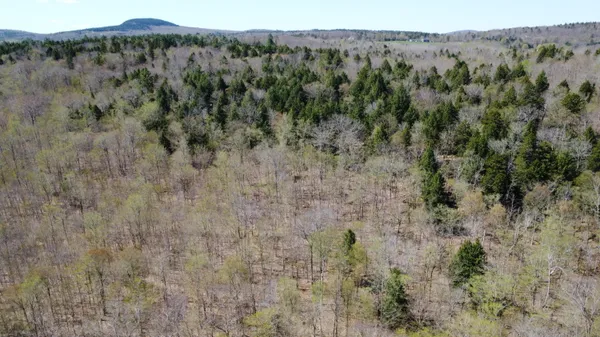 $39,500 | Lot 5 Peakes Hill Road, Dedham, ME 04429