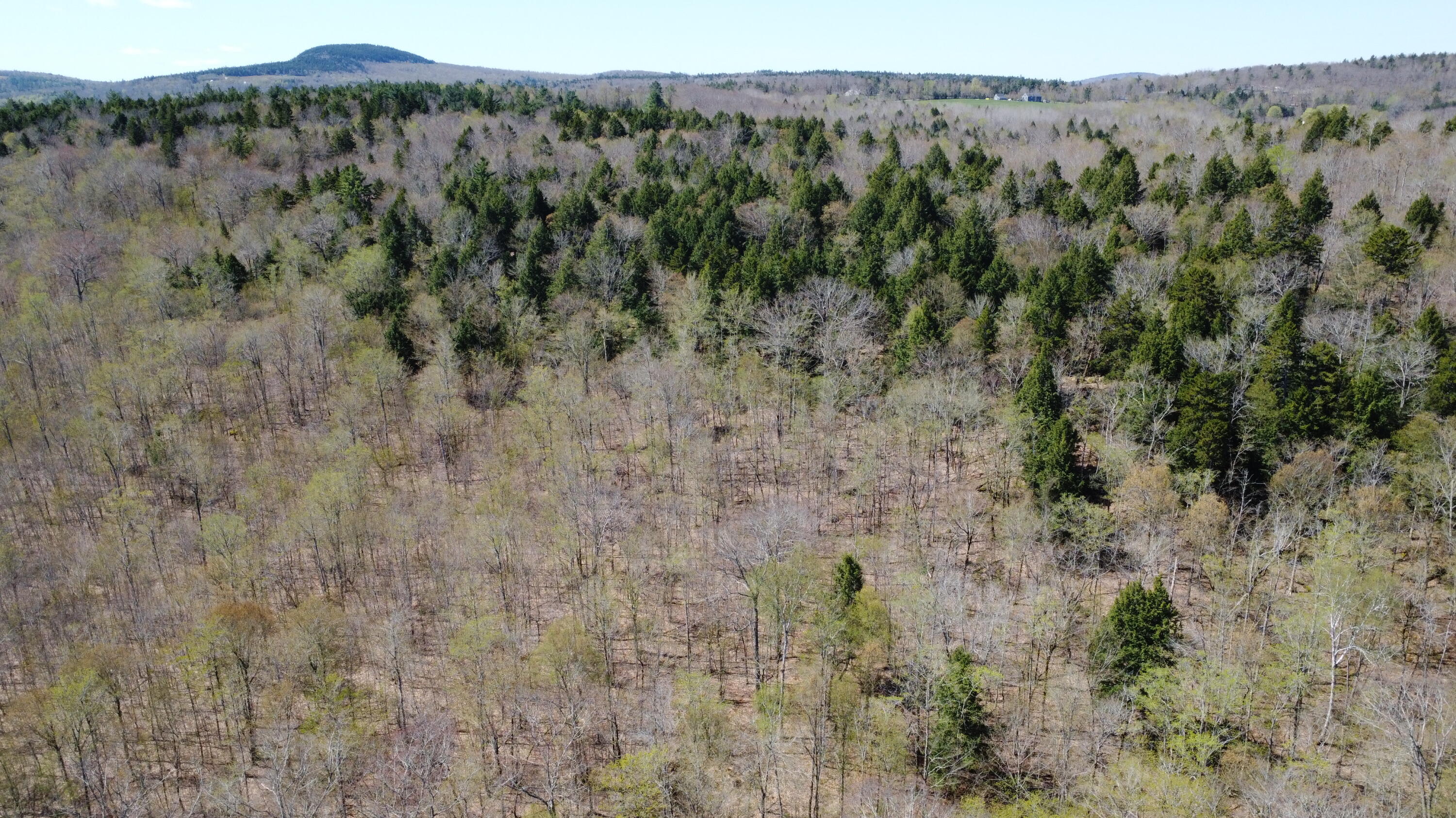 Lot 5 Peakes Hill Road Dedham, ME 04429 - Photo 2 of 5 DJI_0505
