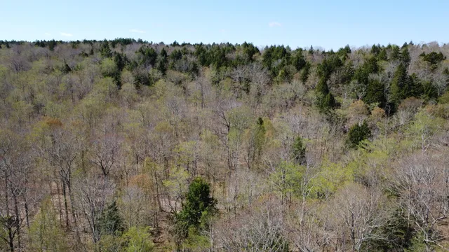$39,500 | Lot 5 Peakes Hill Road, Dedham, ME 04429