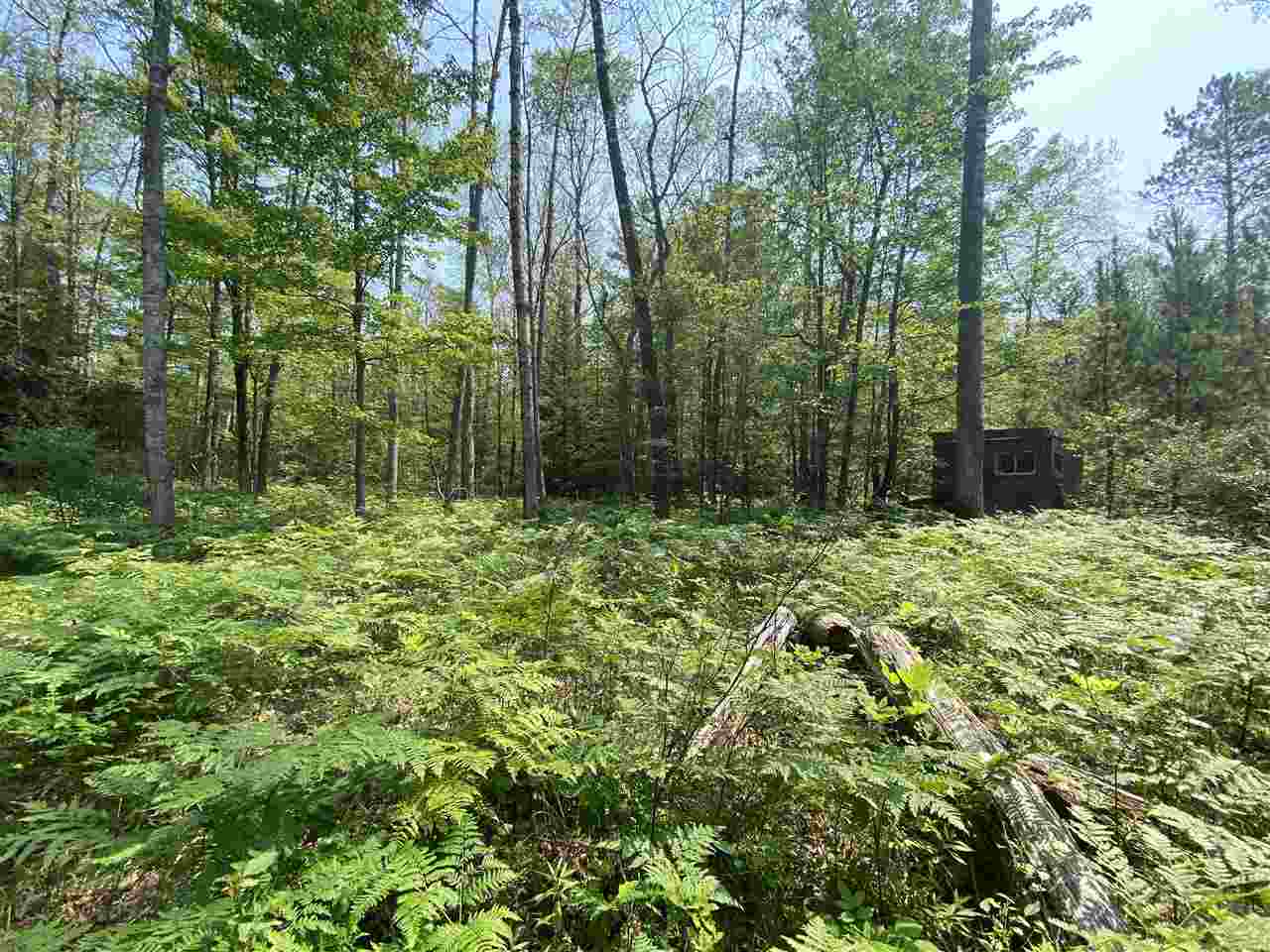 0 Briggs Road Omer, MI 48749 - Photo 7 of 45