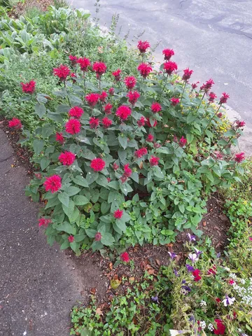 $650,000 | 187 King Street, Boscawen, NH 03303