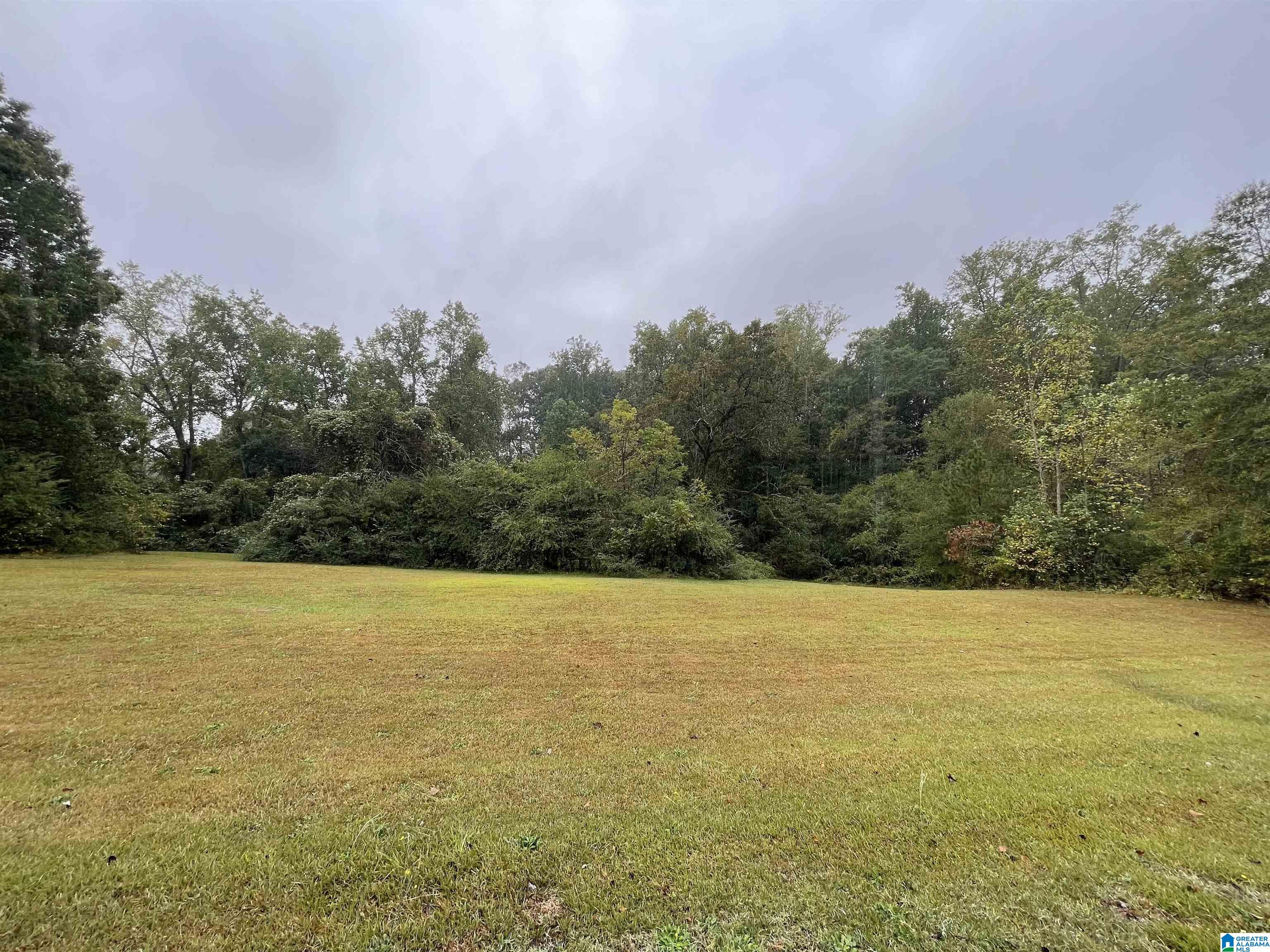 Talladega Street Lineville, AL 36266 - Photo 1 of 3