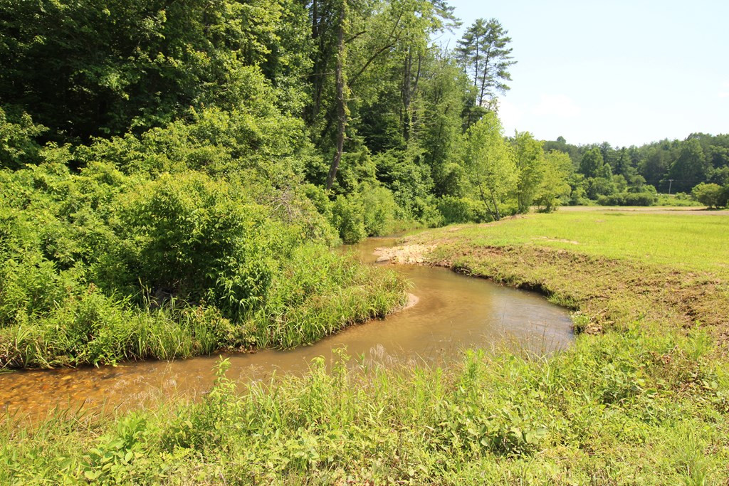 15 Lazy Rays Way Murphy, NC 28906 - Photo 2 of 21