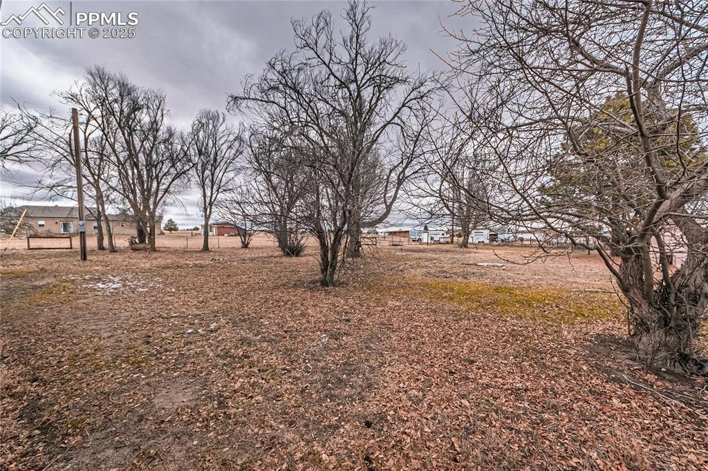 12480 Partridge Lane Peyton, CO 80831 - Photo 34 of 38 a view of outdoor space with trees