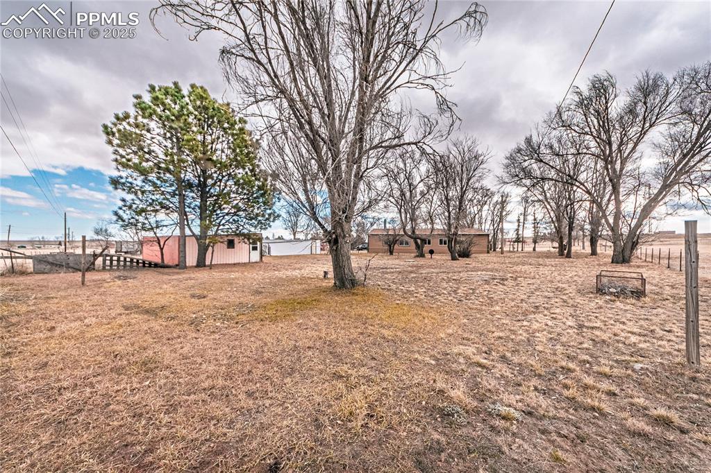 12480 Partridge Lane Peyton, CO 80831 - Photo 35 of 38 a tree covered with tall trees
