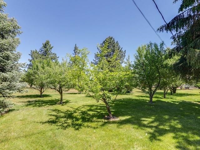 21405 South Mill Road Spangle, WA 99031 - Photo 31 of 33