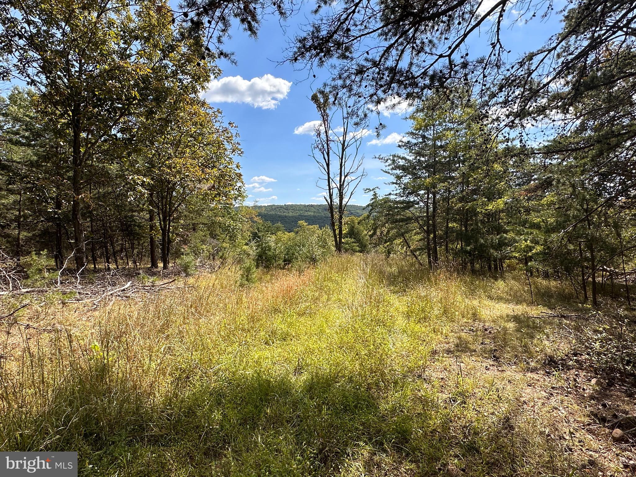 Knobley Road Keyser, WV 26726 - Photo 11 of 19