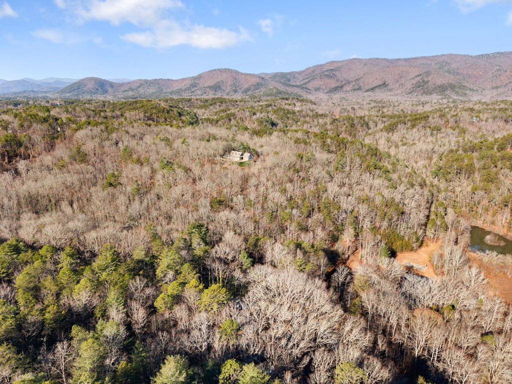 1410 Sky Lake Road Sautee Nacoochee, GA 30571 - Photo 20 of 37 a view of a lush green field with mountains in the background