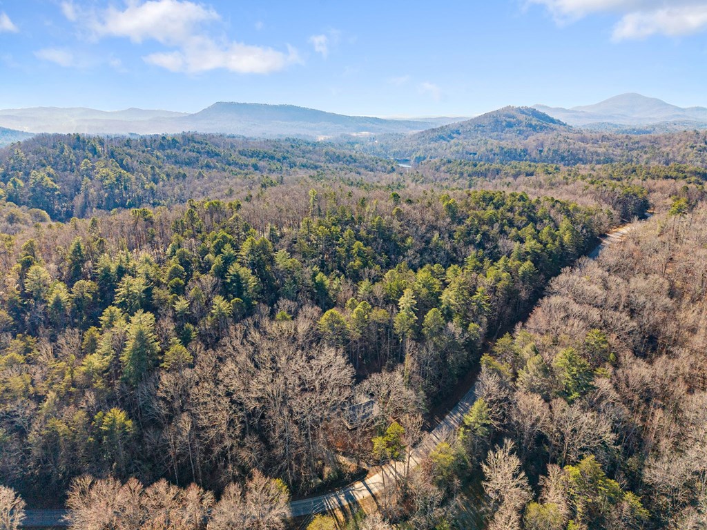 1410 Sky Lake Road Sautee Nacoochee, GA 30571 - Photo 21 of 37 a view of a city with mountains in the background