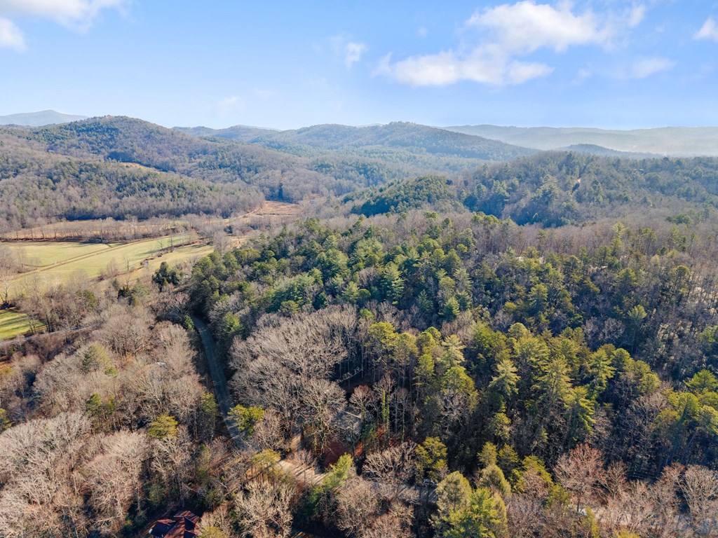 1410 Sky Lake Road Sautee Nacoochee, GA 30571 - Photo 32 of 37