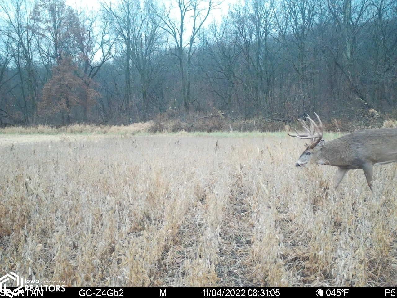 26845 County Road R52 Leon, IA 50144 - Photo 57 of 92 Gallery Image 57