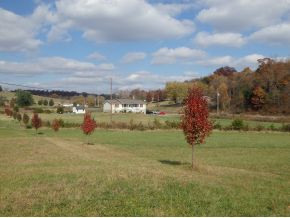 800 Swanay Road Limestone, TN 37681 - Photo 3 of 22 Has a creek bring your horses