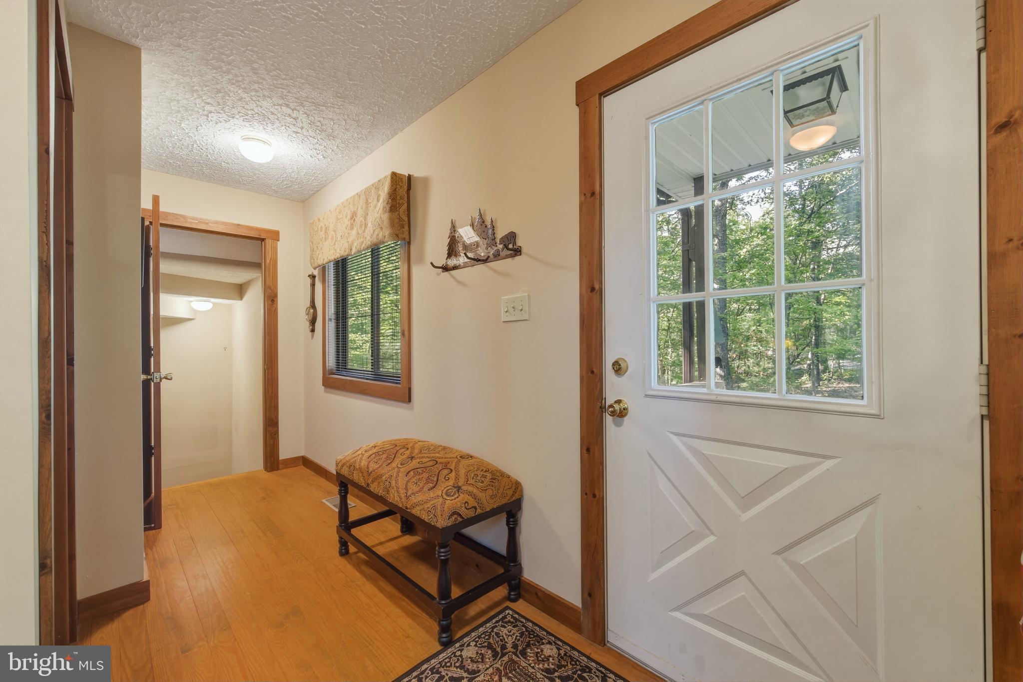 309 Locust Lane Mount Jackson, VA 22842 - Photo 25 of 57 Main Level - Foyer