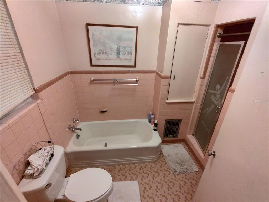 995 West 11th Avenue Mount Dora, FL 32757 - Photo 14 of 49 a bathroom with a sink and toilet