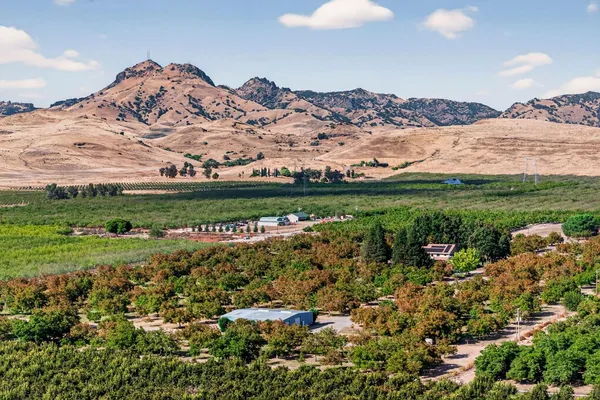 an aerial view of a house with a yard and plants