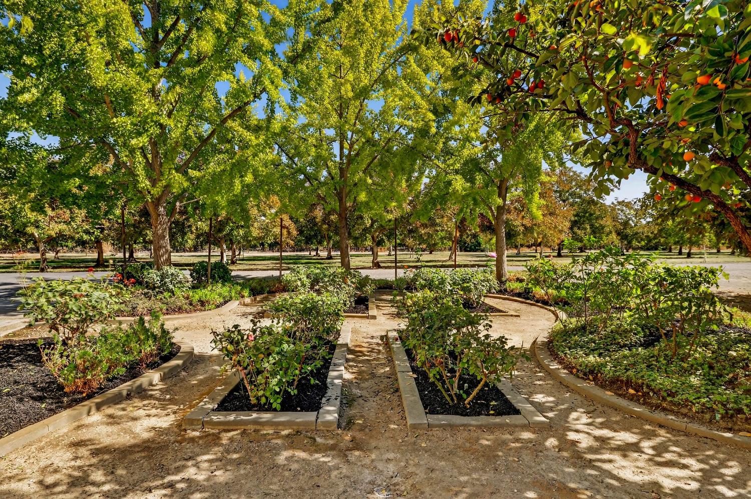 8970 South Butte Road Sutter, CA 95982 - Photo 74 of 86 a view of outdoor space with seating area