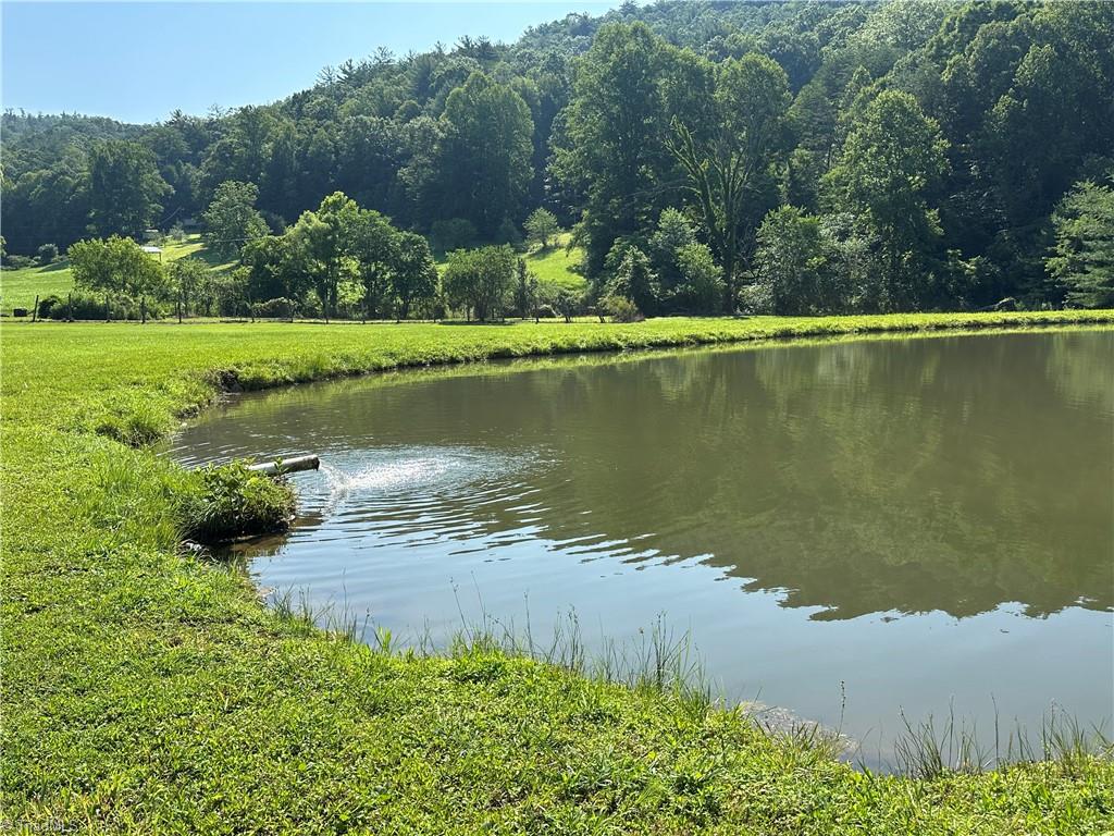 1501 Sand Ridge Road Millers Creek, NC 28651 - Photo 15 of 48