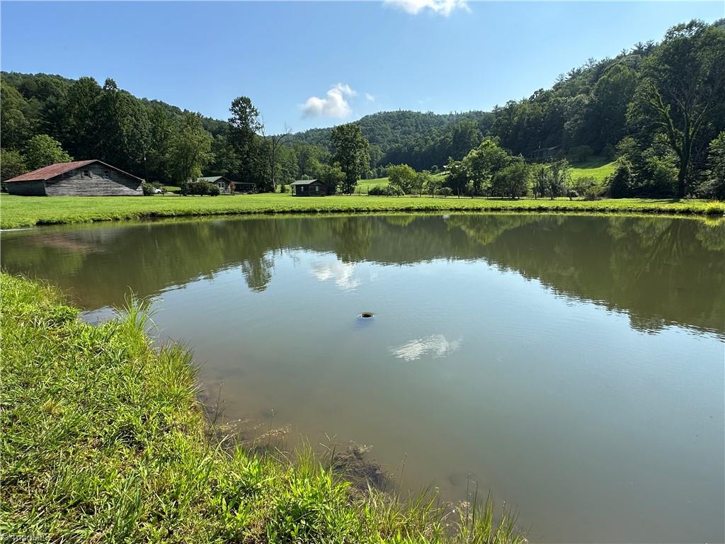 1501 Sand Ridge Road Millers Creek, NC 28651 - Photo 16 of 48