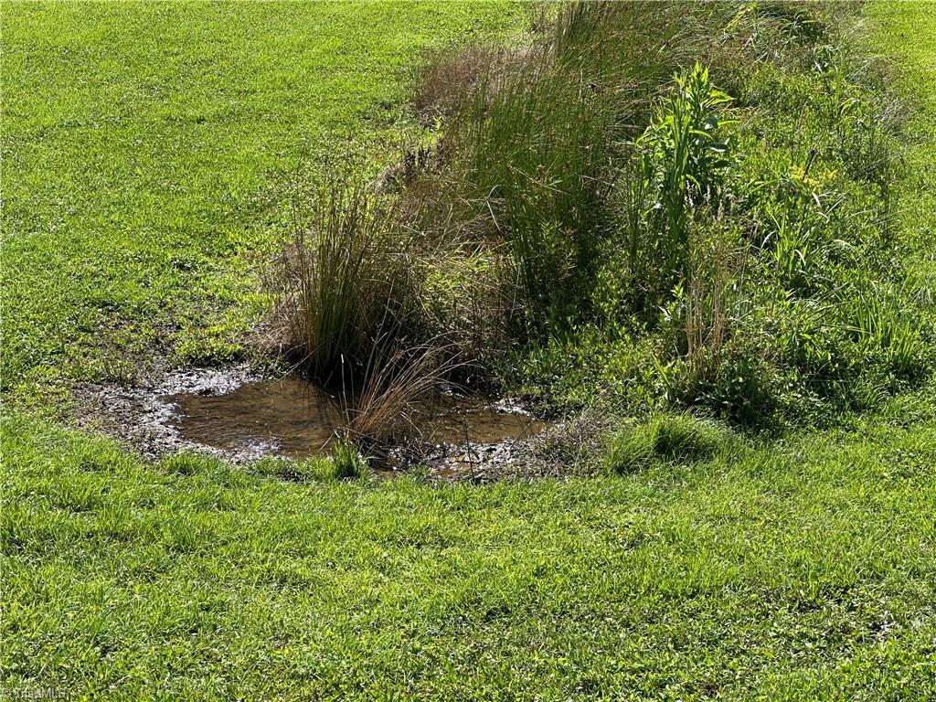 1501 Sand Ridge Road Millers Creek, NC 28651 - Photo 17 of 48