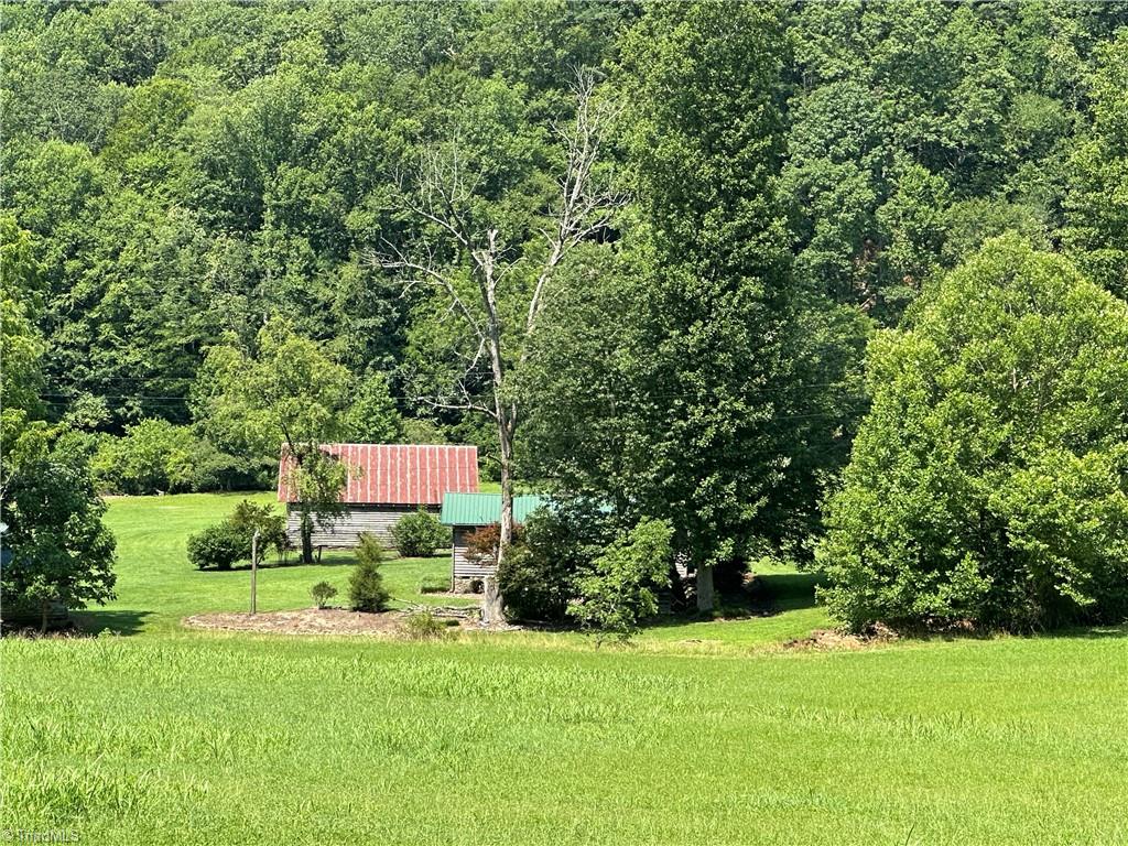 1501 Sand Ridge Road Millers Creek, NC 28651 - Photo 44 of 48