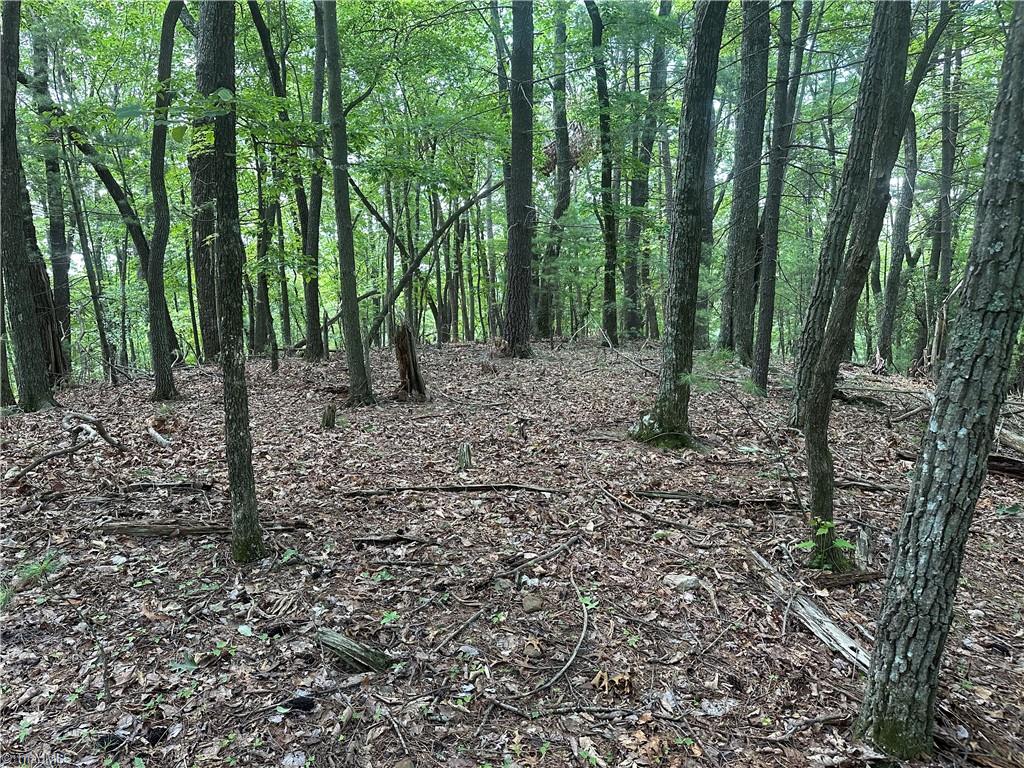 1501 Sand Ridge Road Millers Creek, NC 28651 - Photo 45 of 48