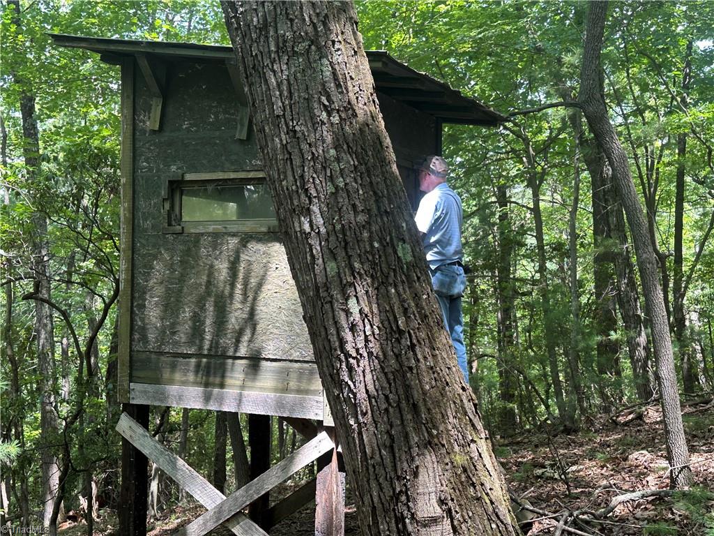 1501 Sand Ridge Road Millers Creek, NC 28651 - Photo 47 of 48
