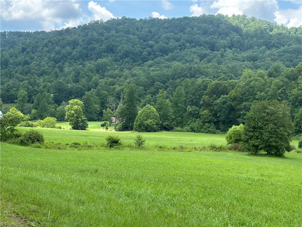 1501 Sand Ridge Road Millers Creek, NC 28651 - Photo 48 of 48