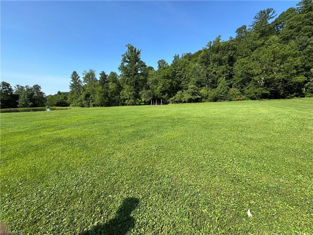 1501 Sand Ridge Road Millers Creek, NC 28651 - Photo 7 of 48