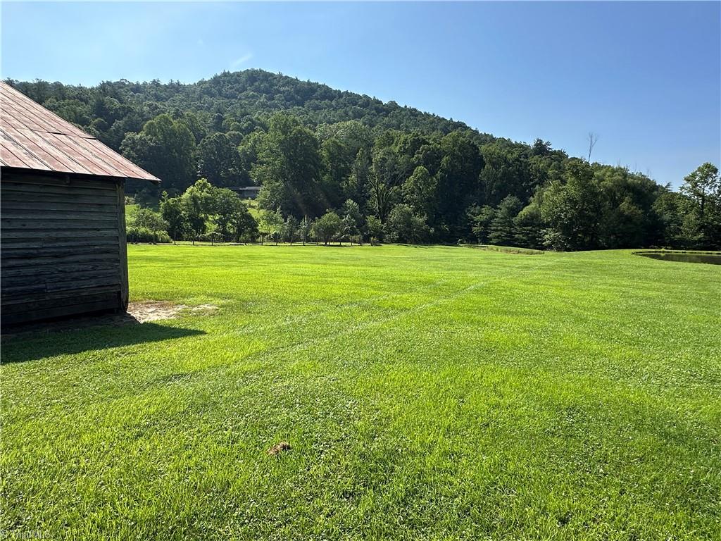 1501 Sand Ridge Road Millers Creek, NC 28651 - Photo 8 of 48