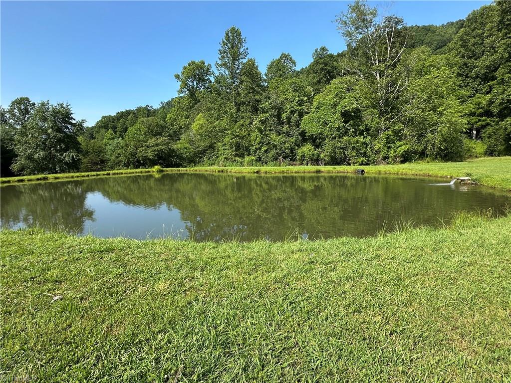 1501 Sand Ridge Road Millers Creek, NC 28651 - Photo 9 of 48